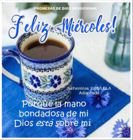 🥋🥇 tweet media