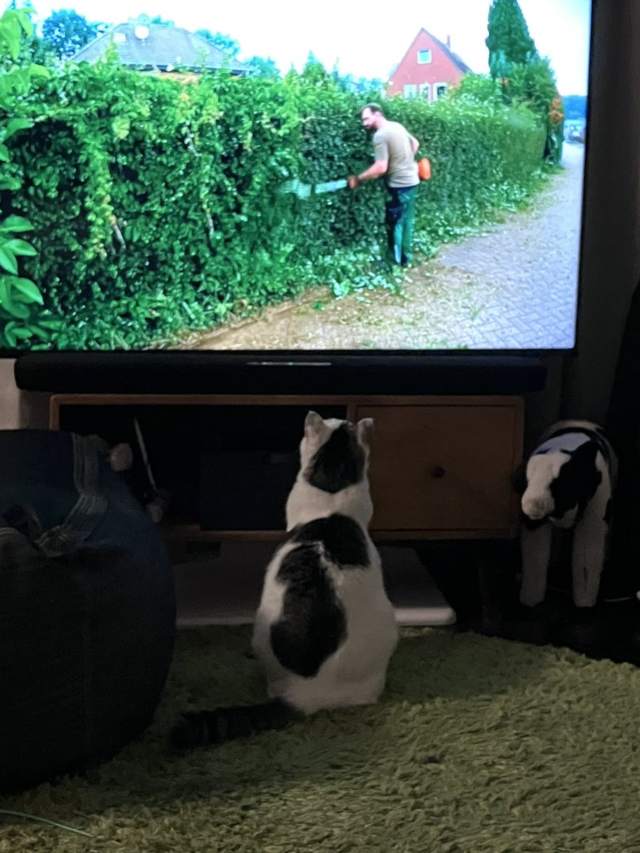 スズキアユミ｜4/11フォントさんぽステーション出展 tweet media