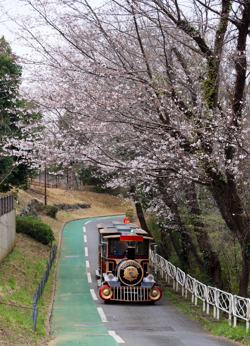 くまぱん tweet media