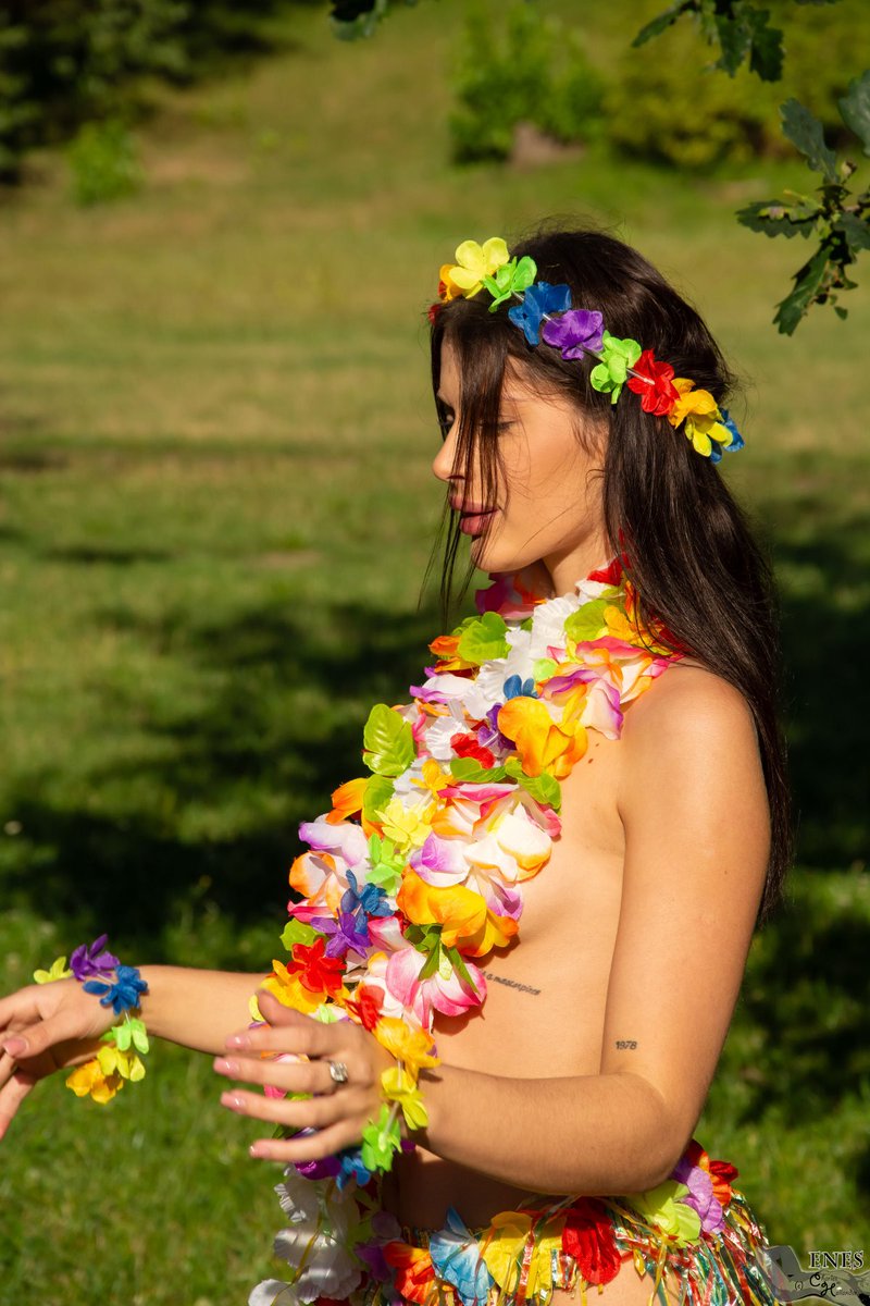 Charles Hollander tweet media