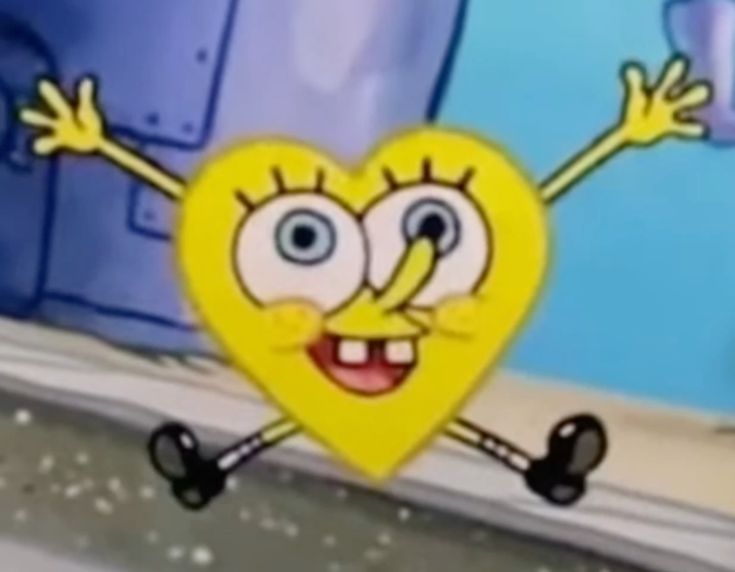 ♯ 𝖼elia . tweet media