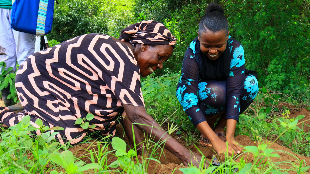 Africa Water Ambassadors tweet media
