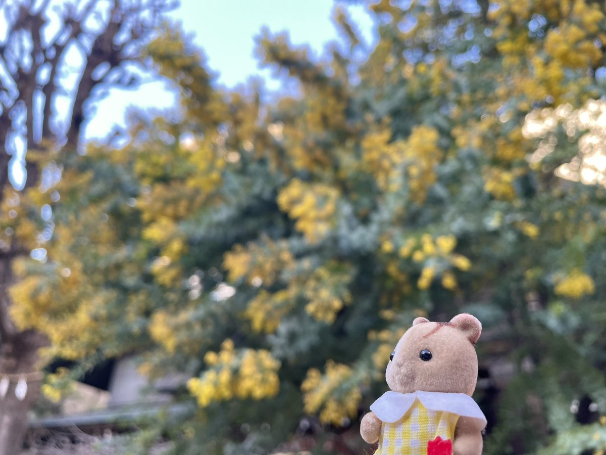 きたうら tweet media