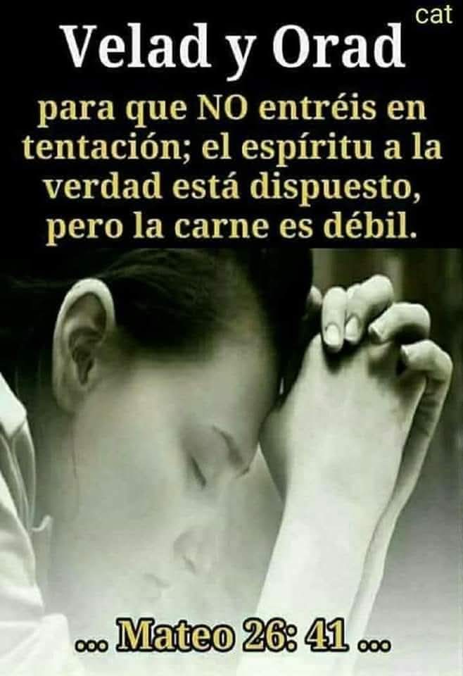 Carlos Arrioja Torres (@arriojatorres) on Twitter photo 