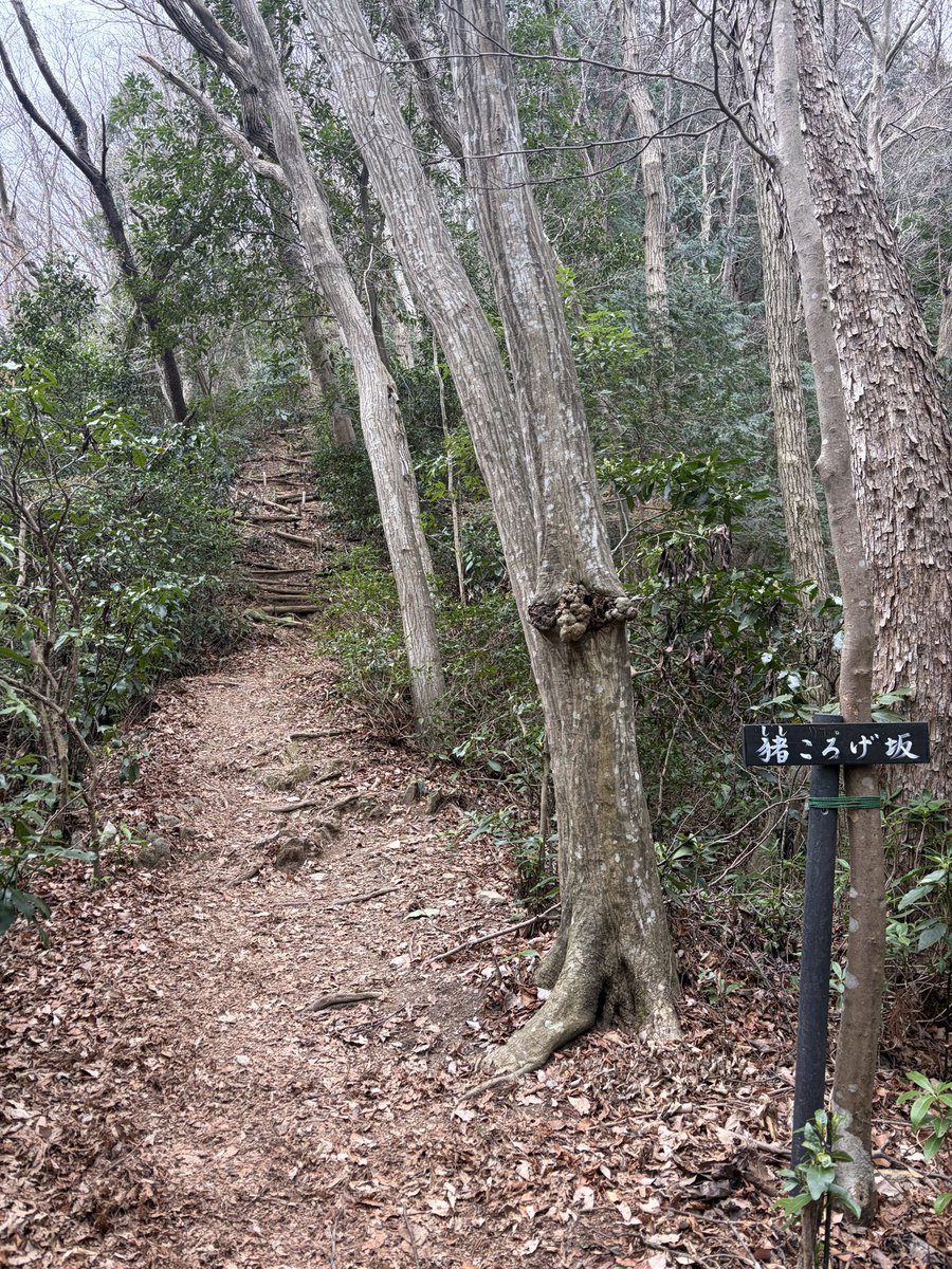 てばまる@3/22楮川ダム駅伝競走大会 tweet media