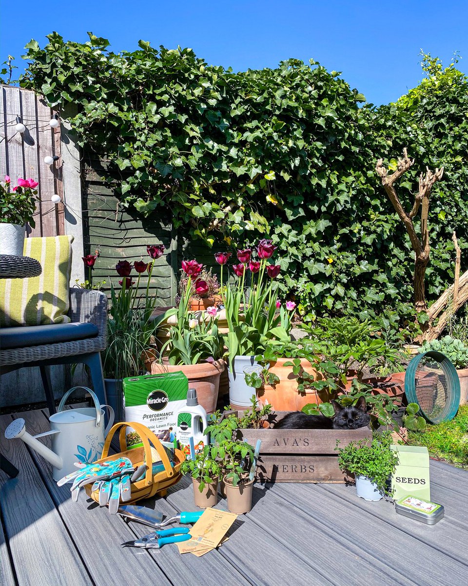 Arbordeck tweet media