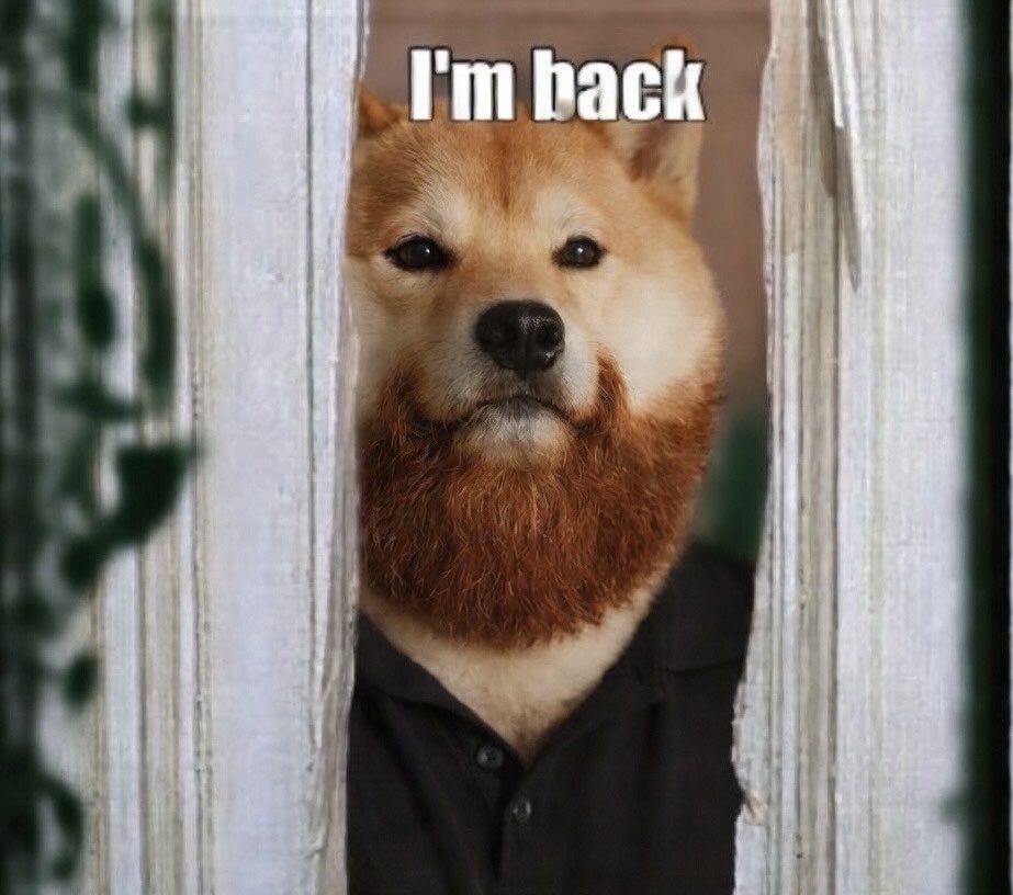 ÐOGE-EMPIRE.𝕏 🚀 🇺🇸 🐕⚡️ tweet media