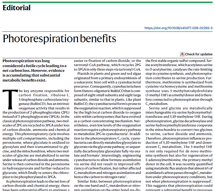 New Editorial: "Photorespiration benefits" rdcu.be/e9W3h

Photorespiration was long considered a futile cycle leading to a net carbon loss. However, evidence is accumulating that substantial metabolic benefits exist.