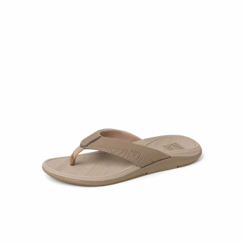 Sandy Point Progressive Sports tweet media