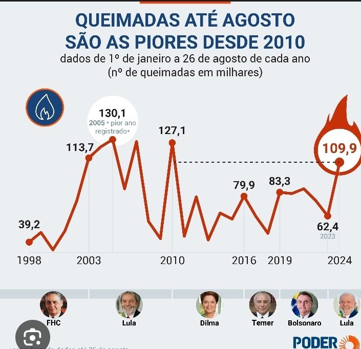 Macaco do Pix tweet media