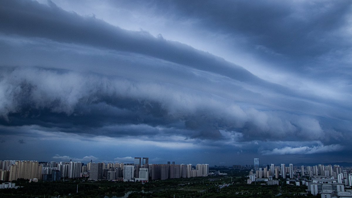 Sufflection.wav tweet media