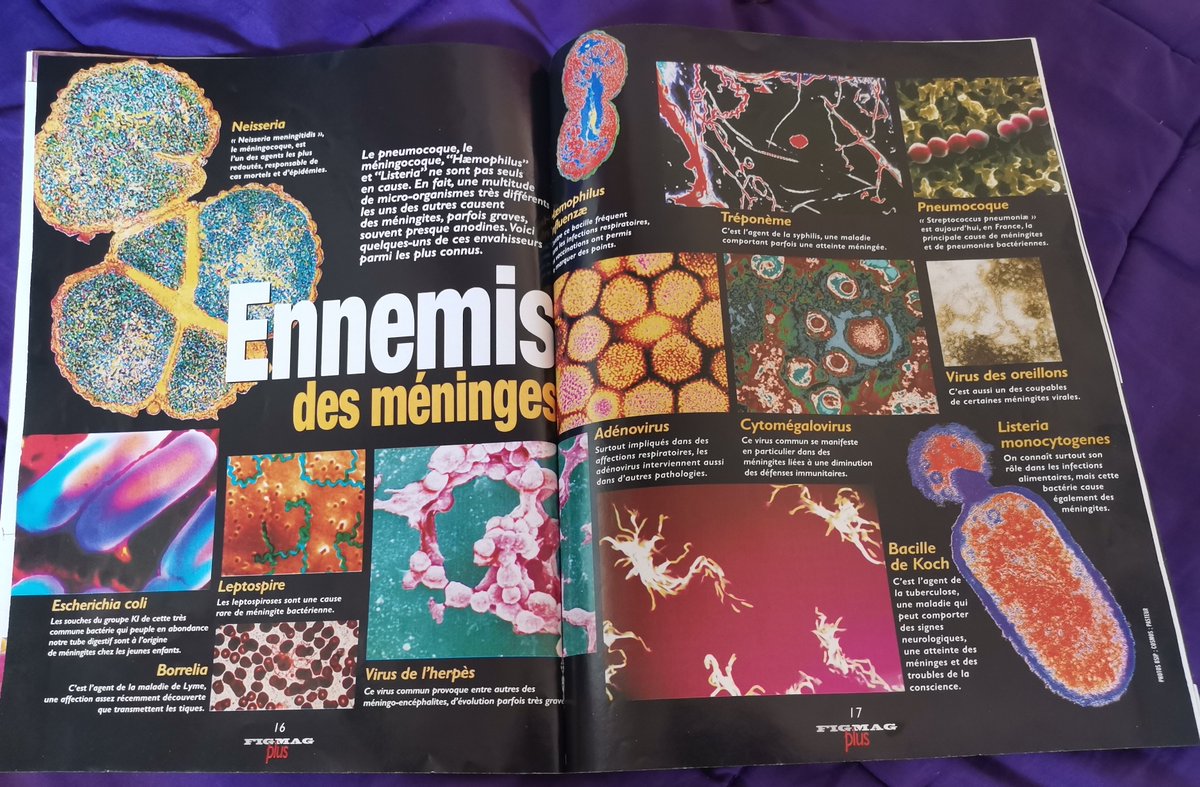 Bertrand_new tweet media