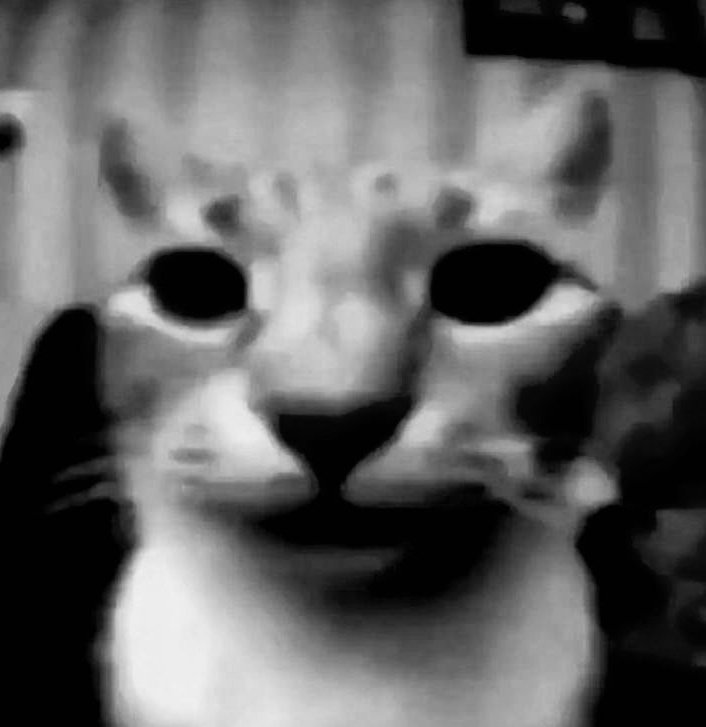 Clov! 🍉 tweet media