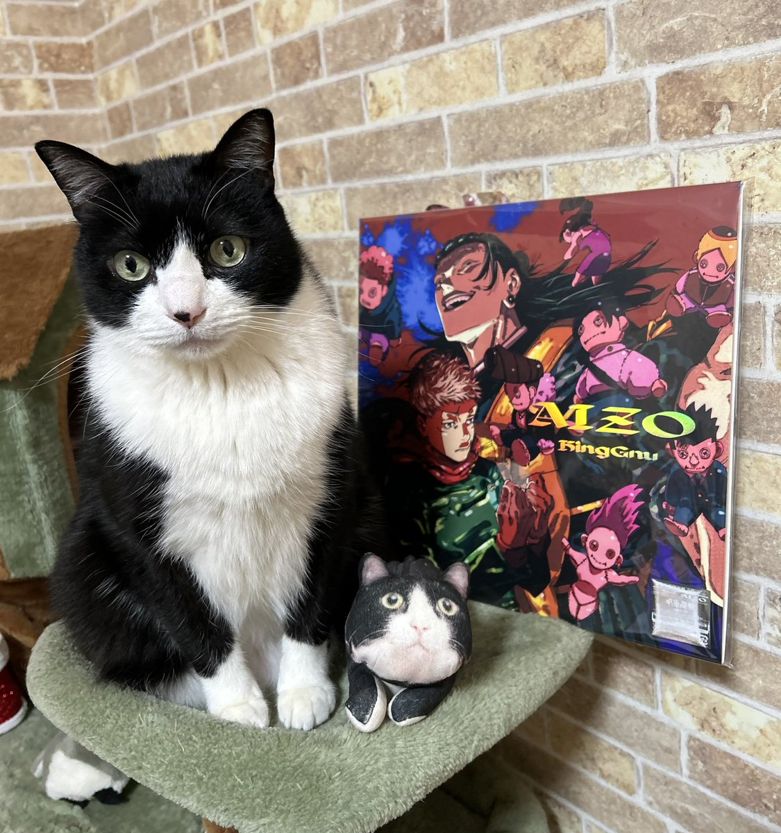 おと👑🐃 tweet media