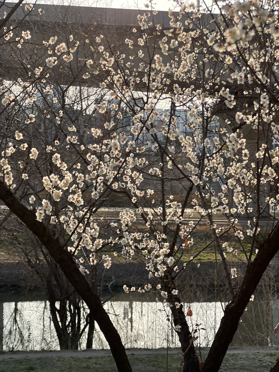 책팔이 tweet media