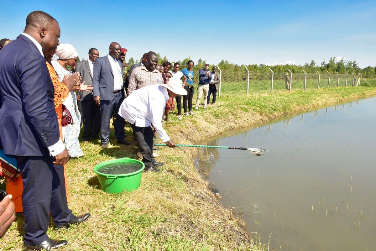 Mr. Munawa tweet media