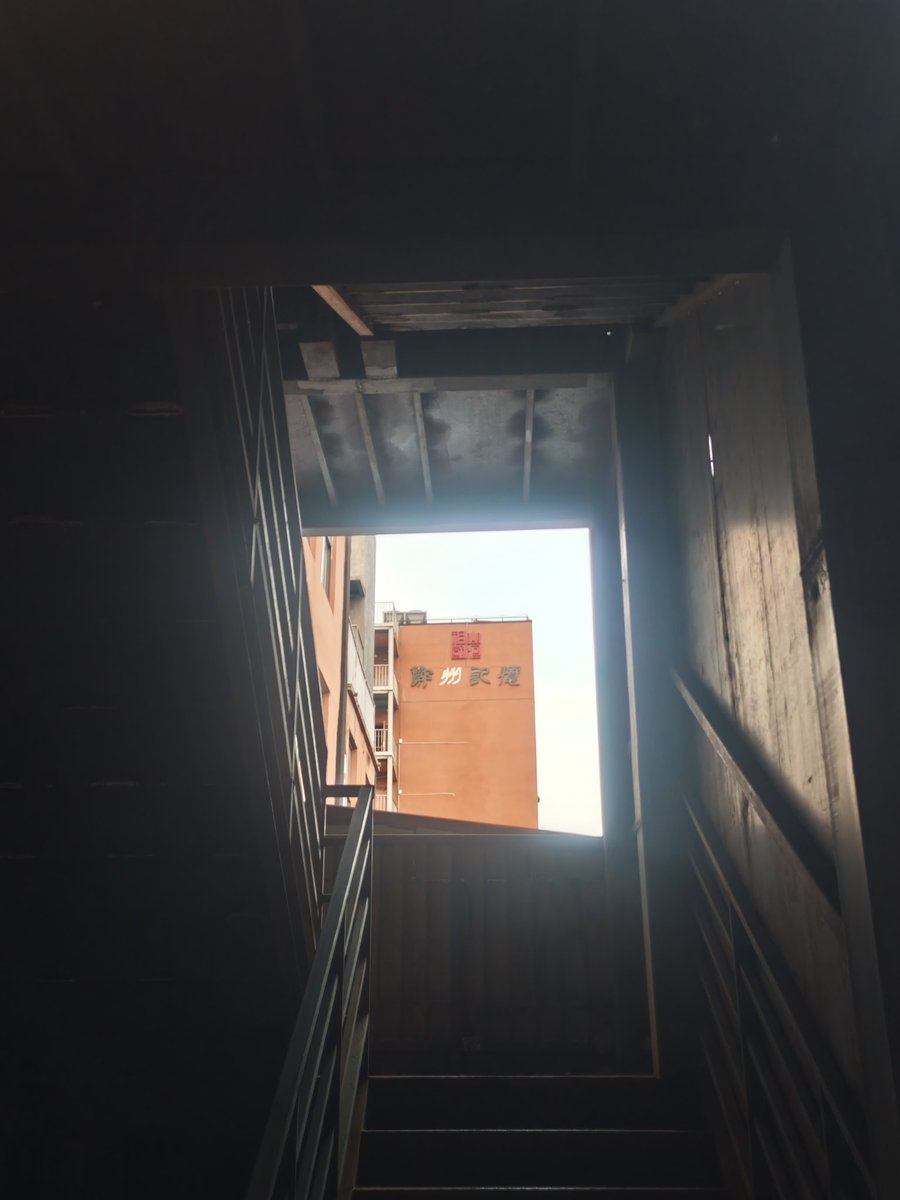 木石为徒的豆 tweet media