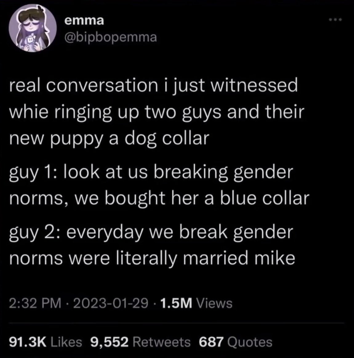 moxie !! tweet media