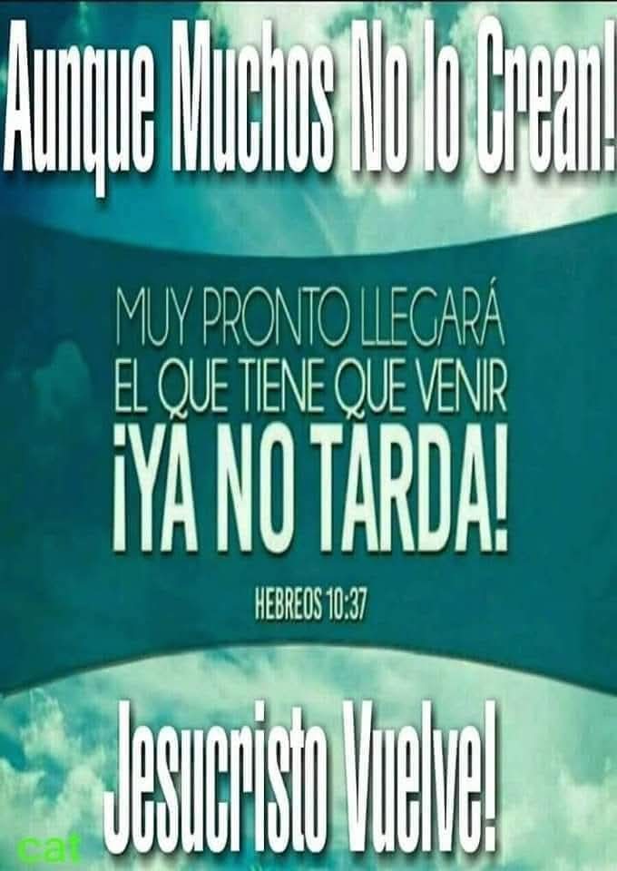 Carlos Arrioja Torres (@arriojatorres) on Twitter photo 