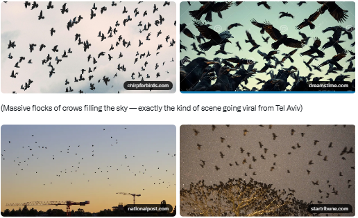 Mantrashree tweet media