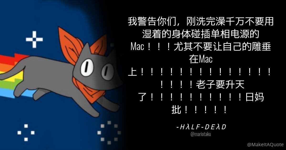 圆圆的咪 tweet media