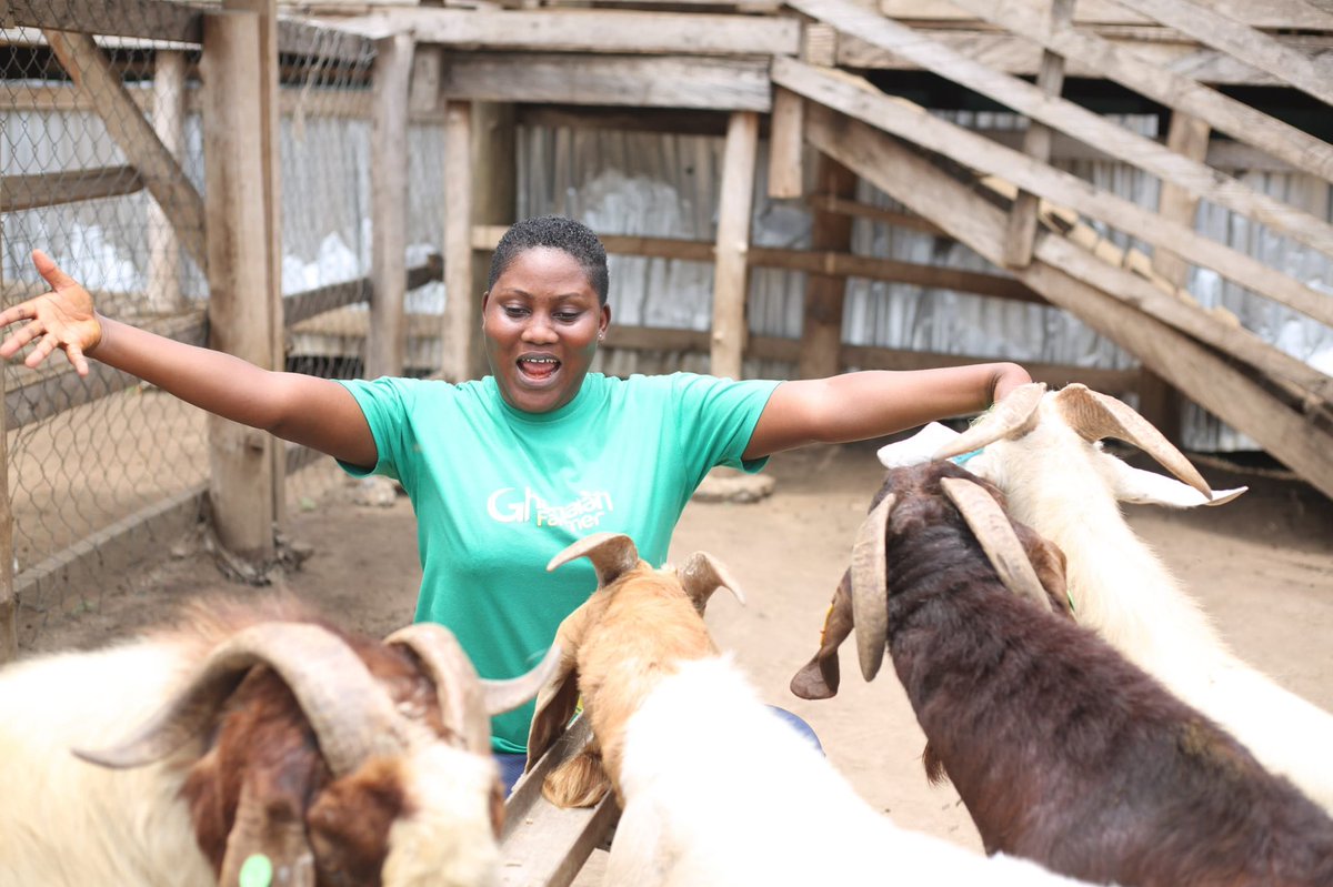 The Ghanaian Farmer tweet media