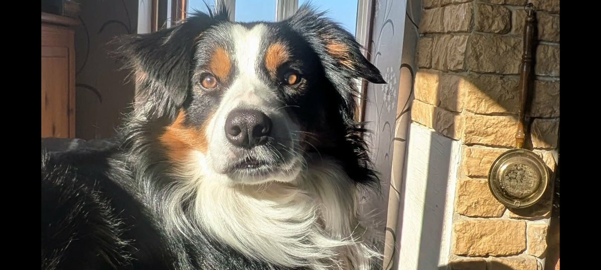 💔Ex Minister4BanditsWhims💔Now Broc's Goffar tweet media