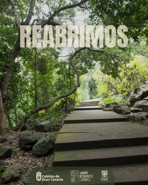 Gran Canaria OIAC tweet media