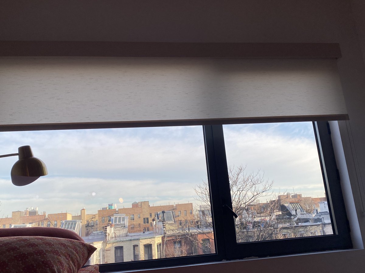 Dr. Naomi Wolf. 8 NYT Bestsellers. DPhil, Poetry. tweet media