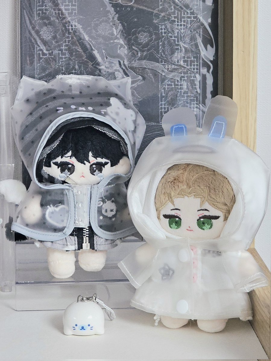 와리🦭 tweet media