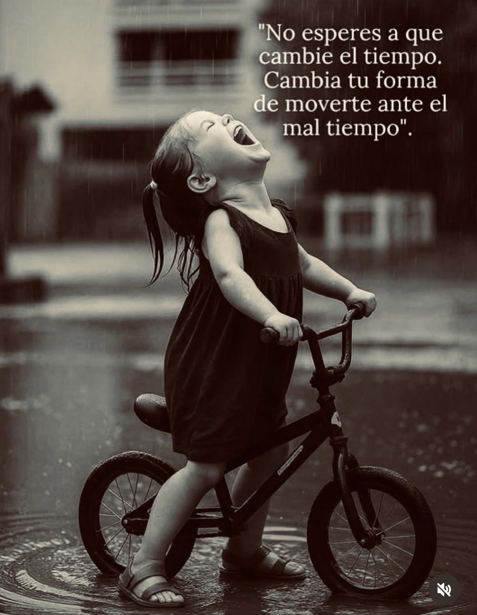 Alvarez Wanda tweet media