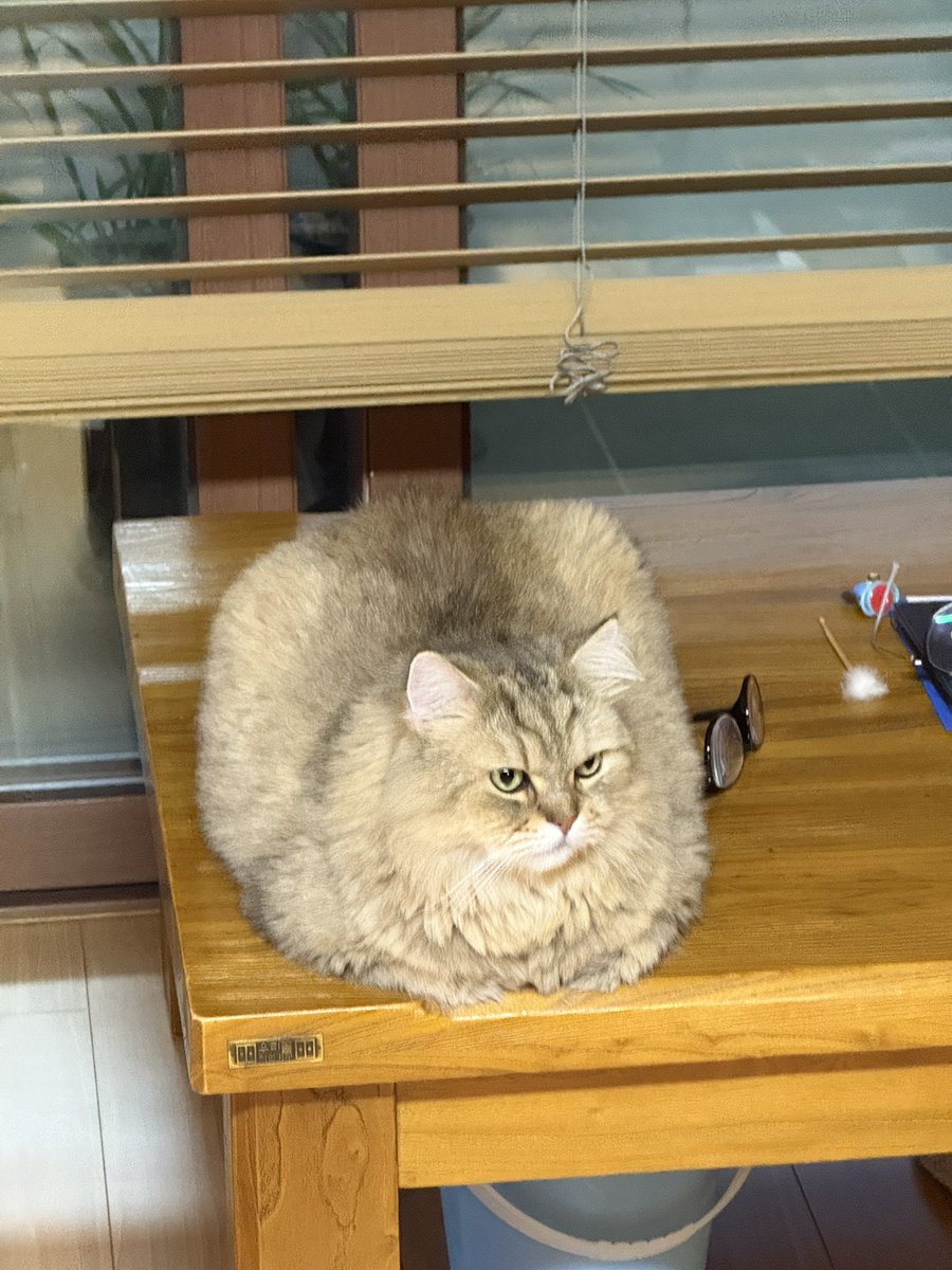 삶의 질 상승 tweet media