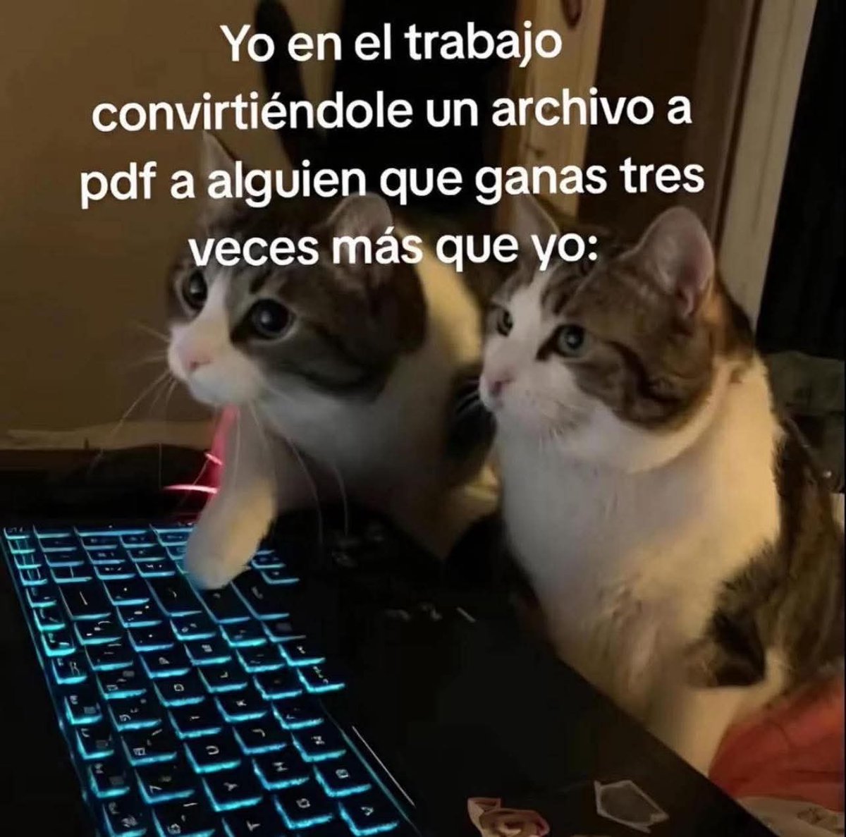 En Júpiter tweet media