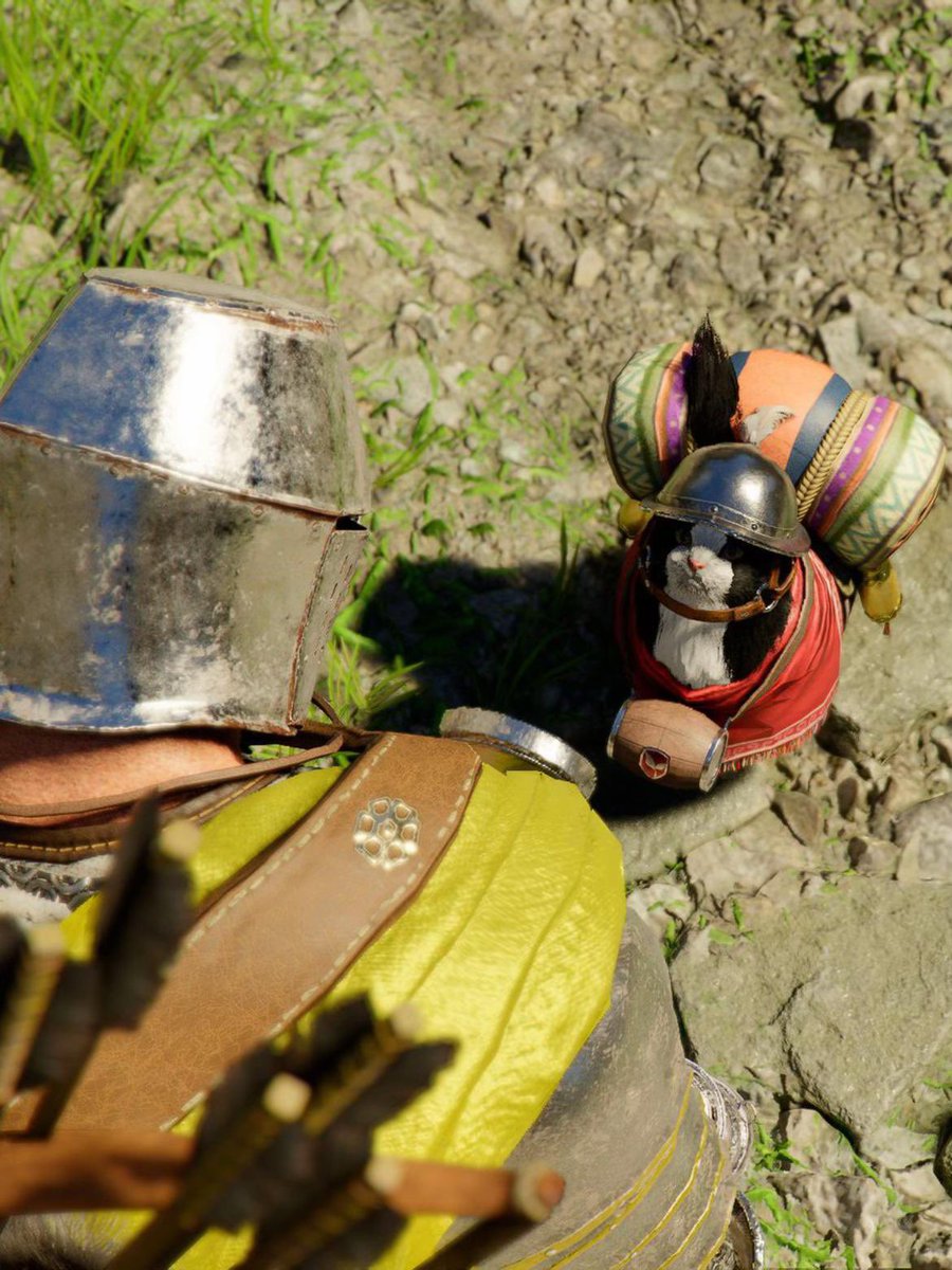 No Cats No Life tweet media