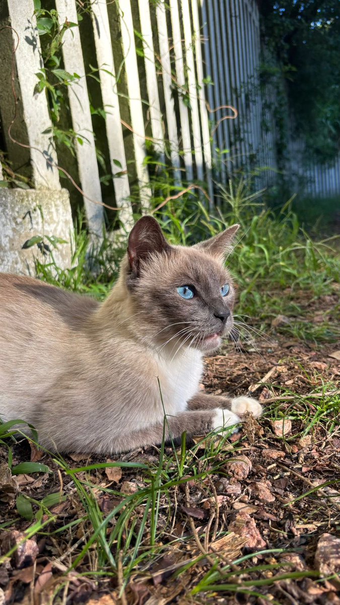 Bruna Bicca tweet media