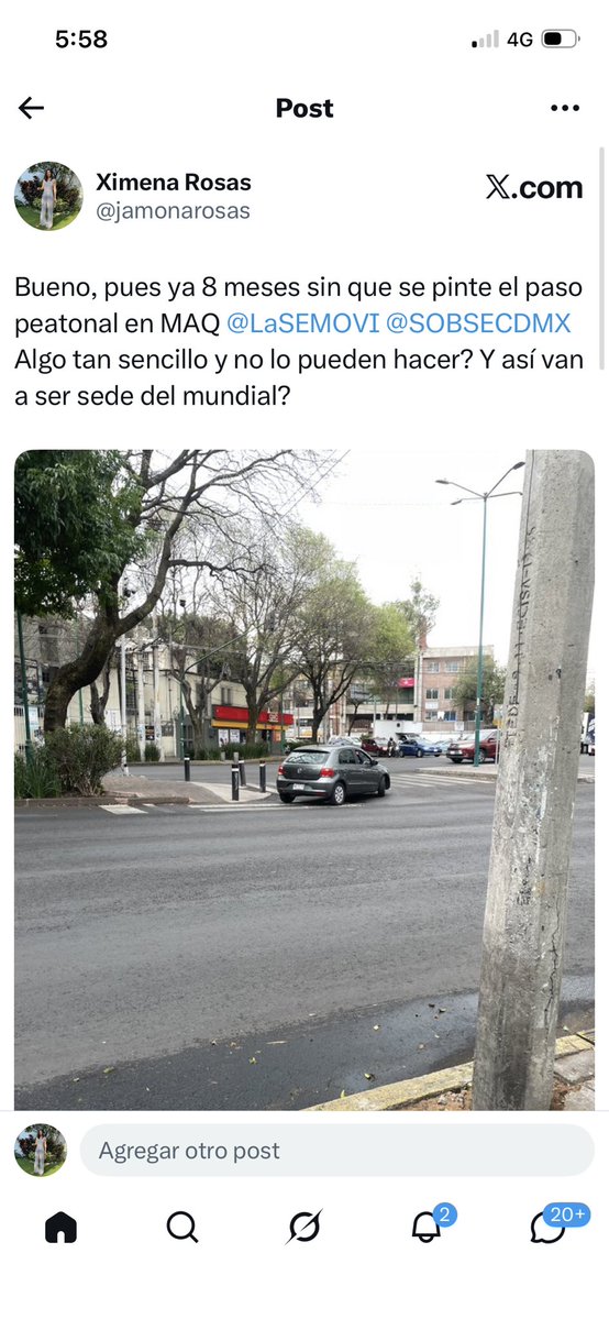 Ximena Rosas tweet media