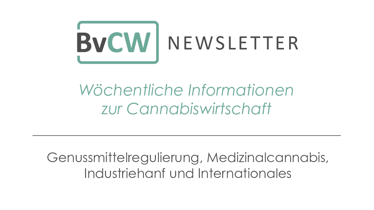 Branchenverband Cannabiswirtschaft e.V. tweet media