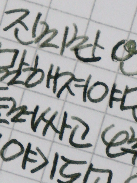 🌿 상록의정 tweet media