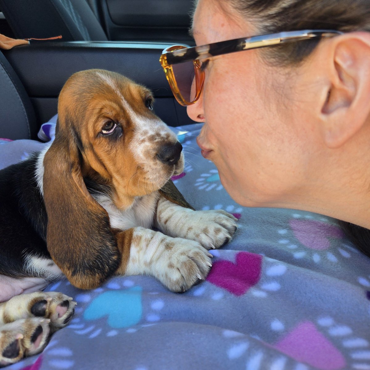 Ernie J. Garrido tweet media