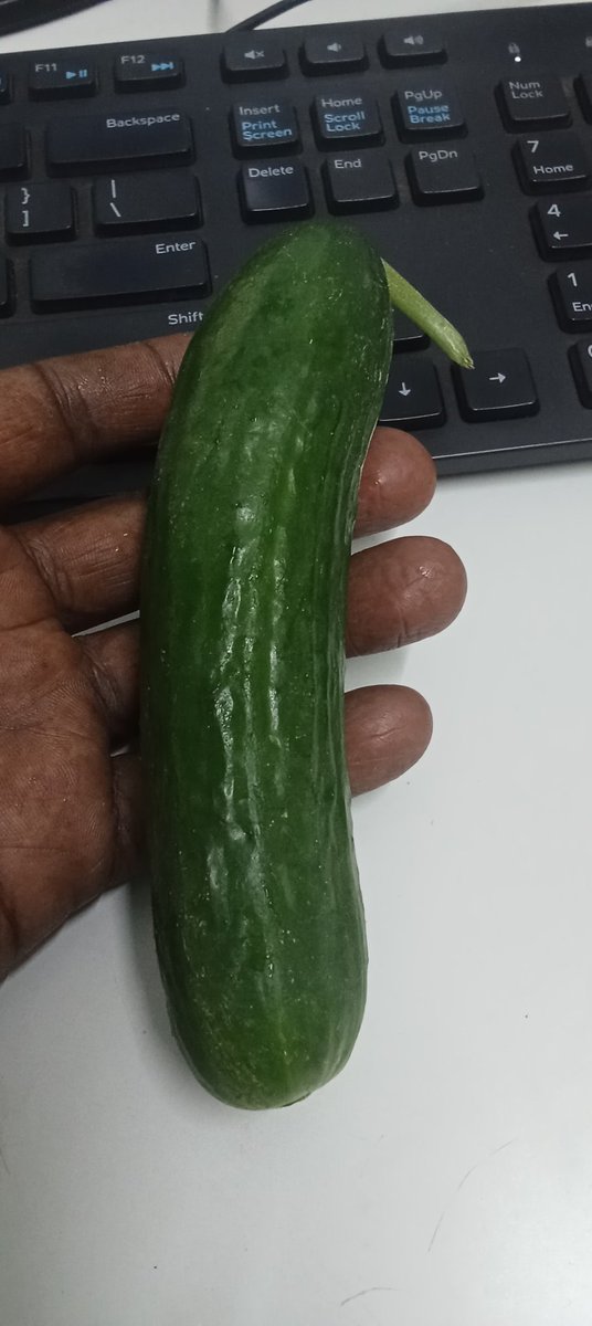 shanbhavan | Thanga poove 🌻 tweet media