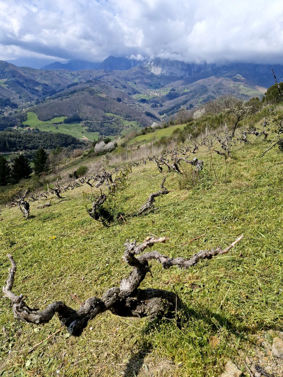 Sergio Quintial tweet media