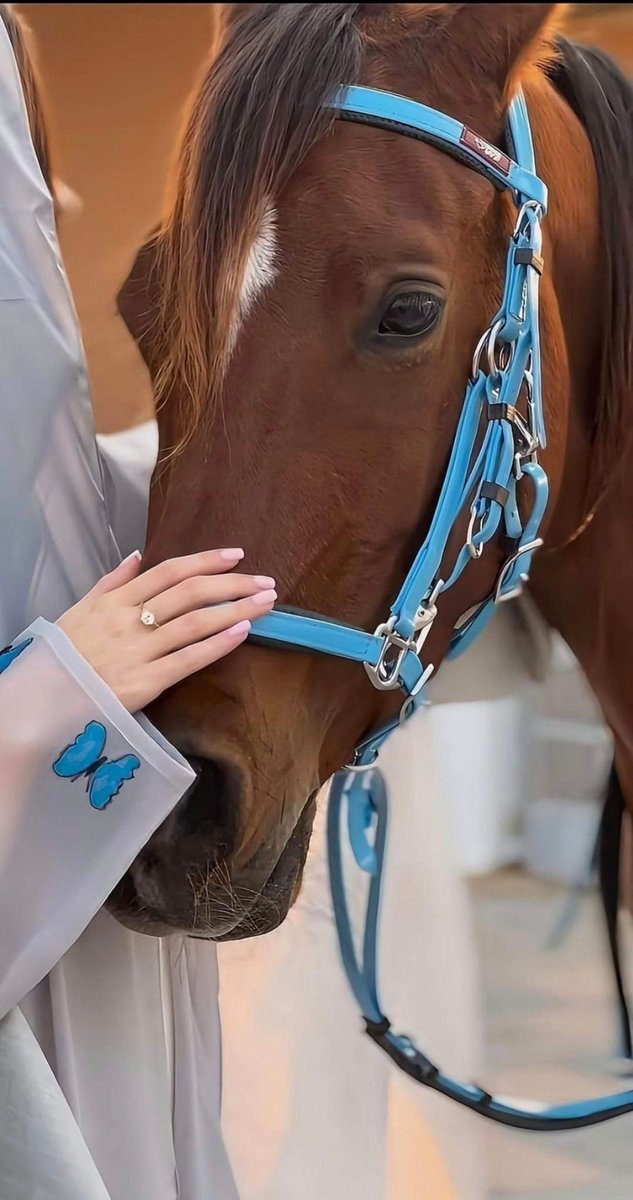  عازفــ 𓍼ོ حرفــ 𓍼ོ tweet media