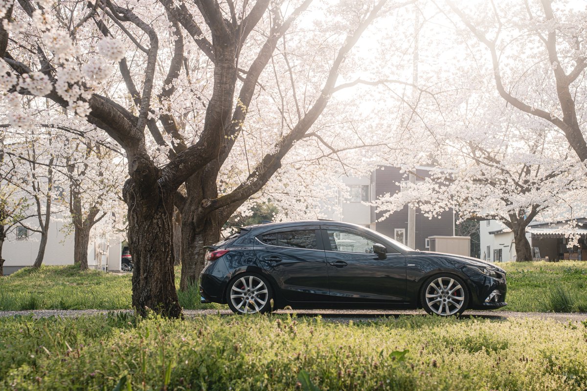 よぴこぴこ tweet media