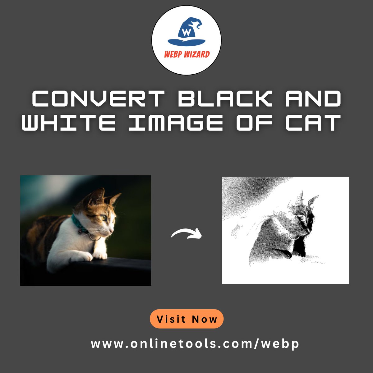 Create stunning monochrome visuals without any editing tools.
Try our Tool: onlinetools.com/webp/create-bl…
#Browserling #WebPTools #WebPCompression #ImageProcessing  #HMPV #AneetPadda #USDX #RHOA #Nifty #AEWDynamite #GIFTNIFTY #BB27 #Tech #seth