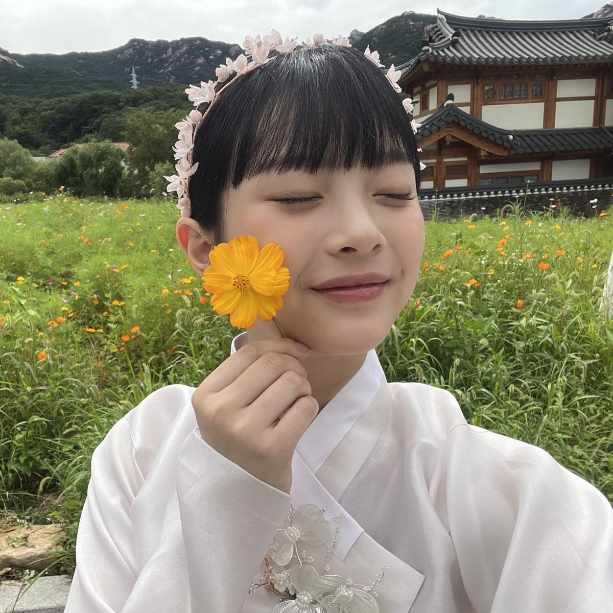 옴브레 tweet media