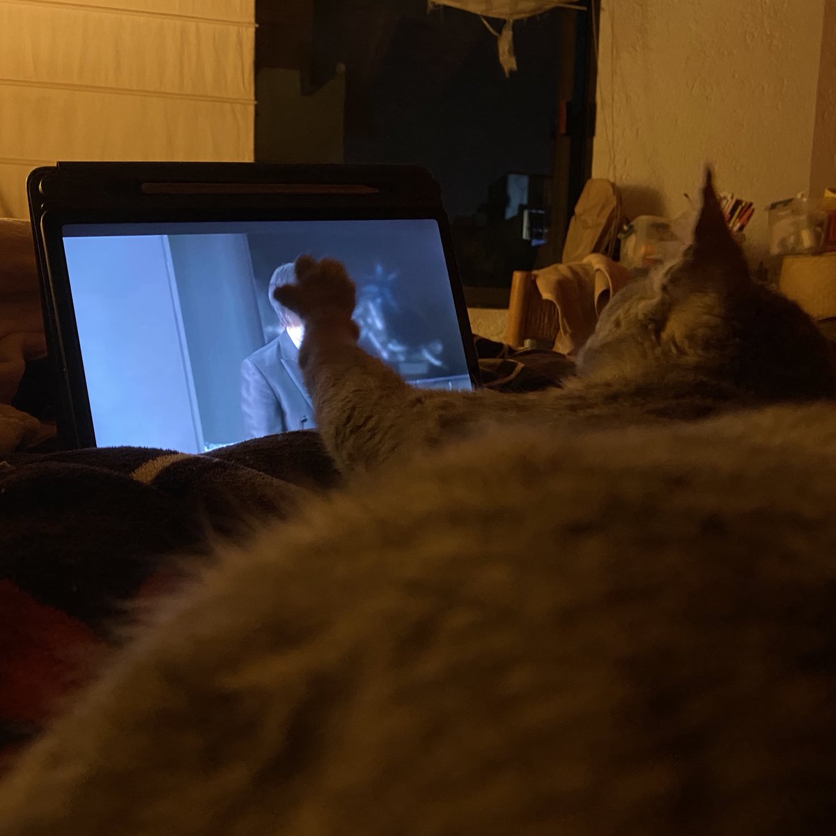 Moonlight 🌙 tweet media