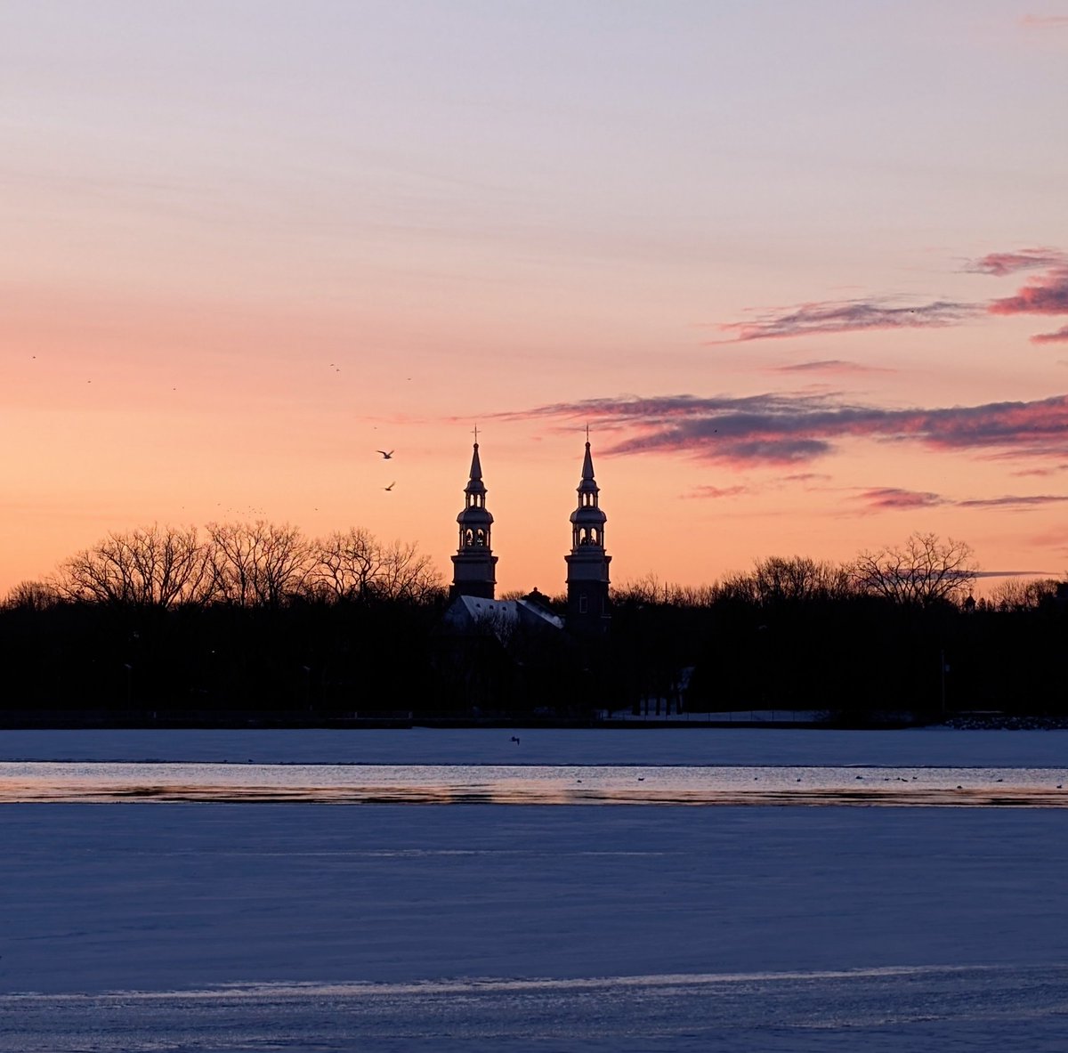 ❉ₛʸₗᵥᵢₑ❉ᴰₑ❉ₘₐᵢₛₒₙₙₑᵤᵥₑ❉ 📷✍️🎹🖍️ tweet media