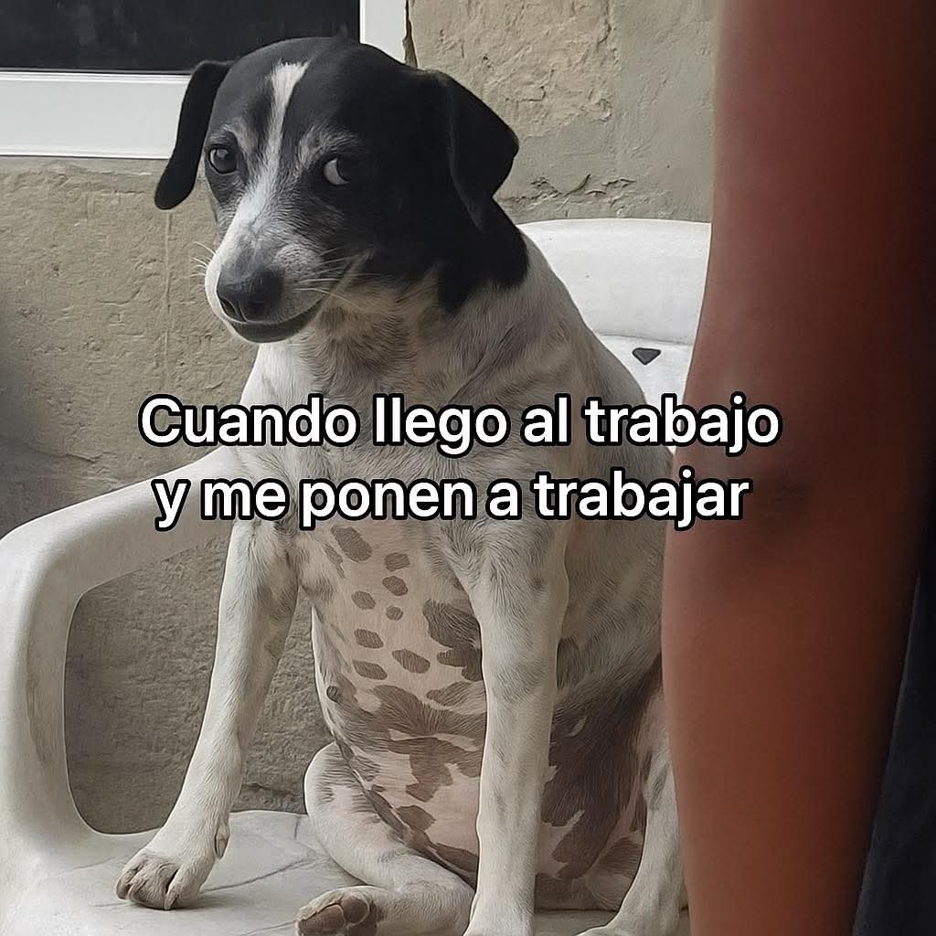 En Júpiter tweet media