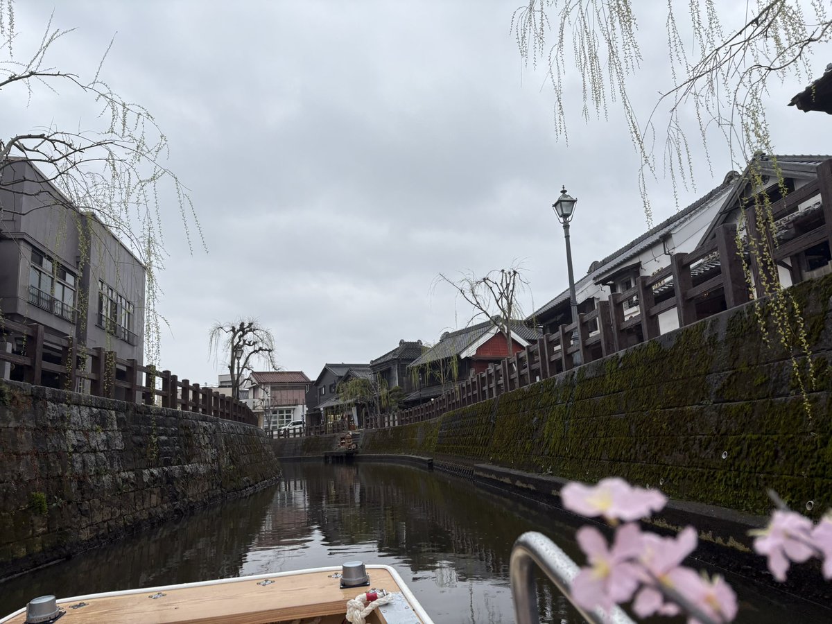 (eぬー tweet media