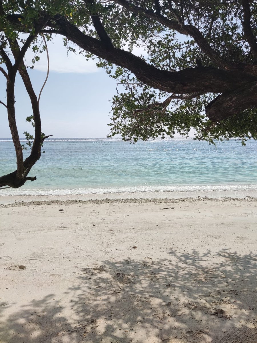 sebastian tweet media